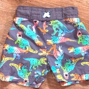Colorful Dinosaur Print Shorts